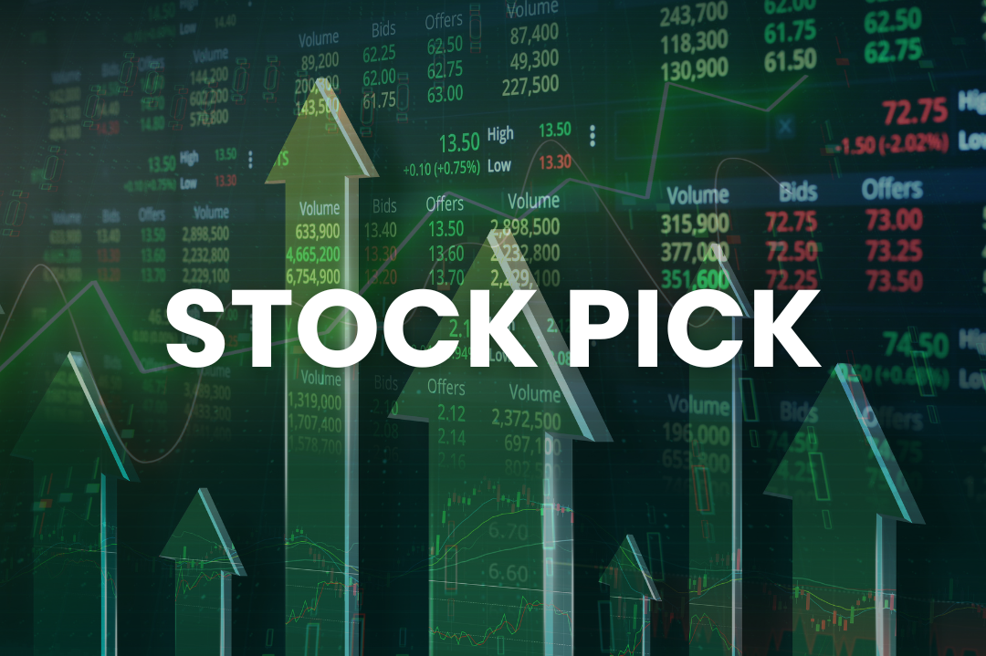Stock Pick 13 February 2025